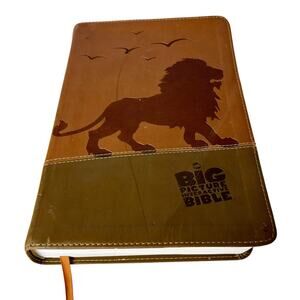 CSB Big Picture Interactive Bible Kids Faux Leather Lion Tabs Homeschool AR App